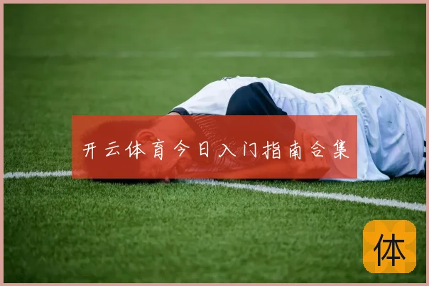 开云体育今日入门指南合集